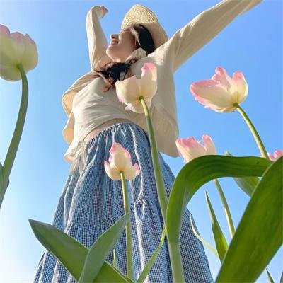 野雏菊